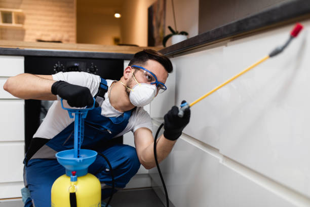 Best Pest Control Near Me in Hemlock, MI
