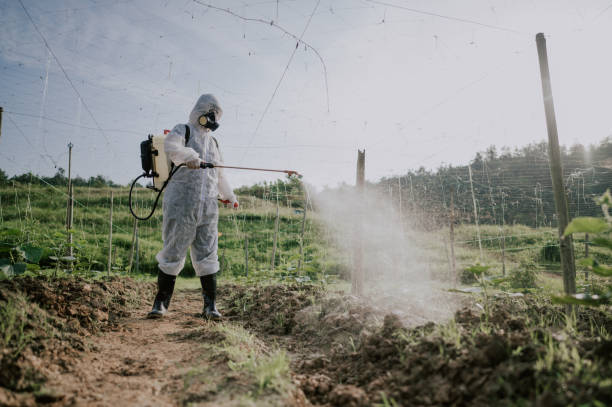 Best Best Pest Control Companies  in Hemlock, MI