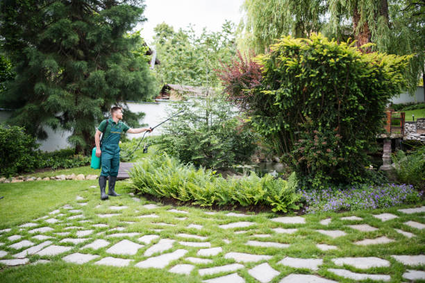 Best Residential Pest Control  in Hemlock, MI