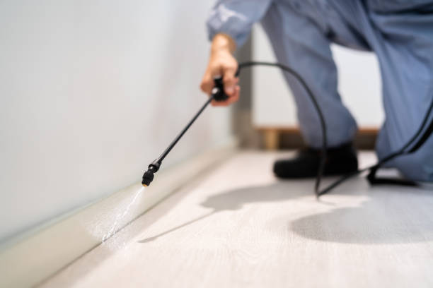 Pest Prevention Services in Hemlock, MI