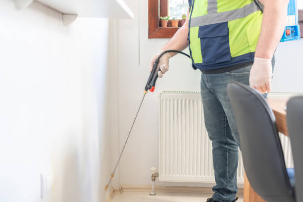 Best Affordable Pest Control Services  in Hemlock, MI