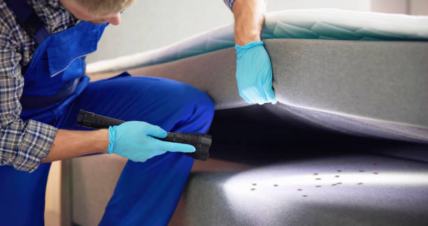 Best Pest Removal Services  in Hemlock, MI