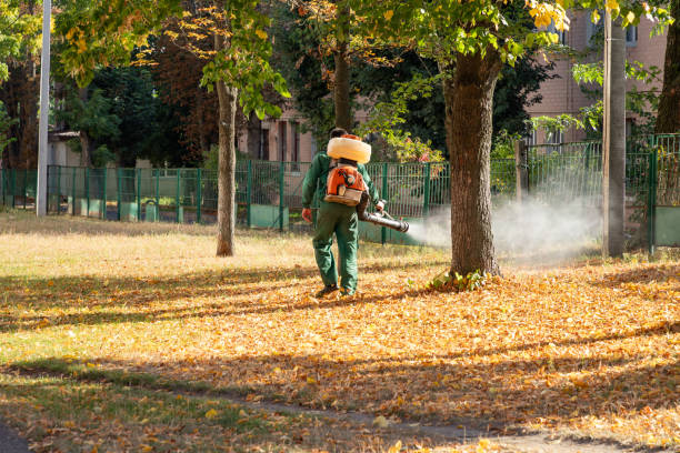 Best Wildlife Control Services  in Hemlock, MI