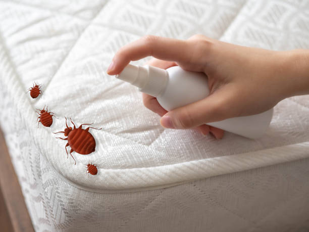 Trusted Hemlock, MI Pest Control Experts