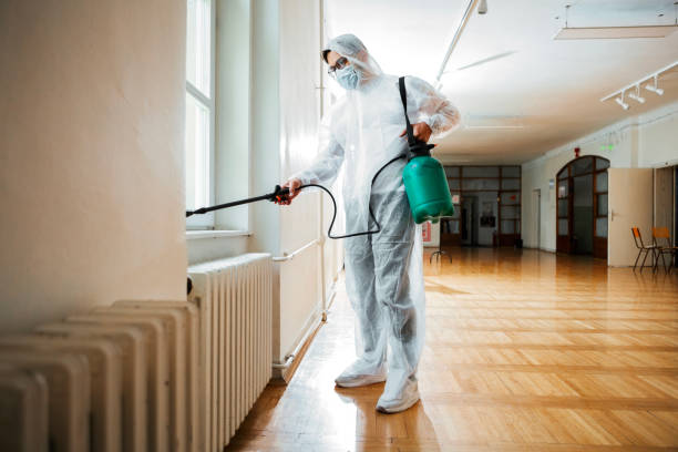 Best Affordable Exterminators  in Hemlock, MI