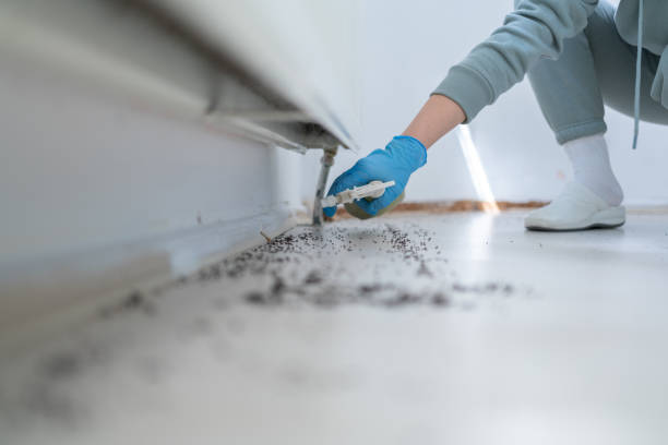  Hemlock, MI Pest Control Pros